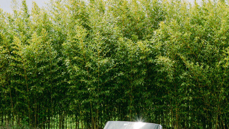 Jaguar E-Type S1 1962 DHC